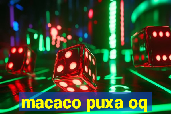 macaco puxa oq